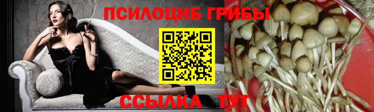 Киселёвск  Галлюциногенные грибы мухоморы  Вход с VPN 